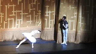 Curtain Call in Swan Lake with Christine Shevchenko, Kelvin Royal, Andrii Ishchuk 7.4.22