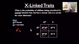 X-Linked Trait Review