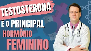 Testosterona é o Principal Hormônio Feminino