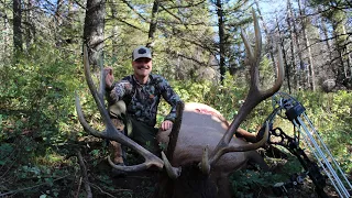 Putting it all together ,Big Bull Down.   Idaho archery elk hunt. 2023 #elk #hunting #archery