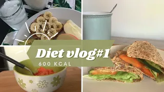 Diet vlog#3 What I eat in a day 500kcal