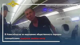 Ирина Волк: В Новосибирске за нарушение общественного порядка полицейскими задержан авиапассажир