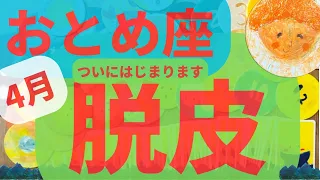 【おとめ座 4月】ついに💖脱皮がはじまります✨✨✨✨　 #カードリーディング  #2023