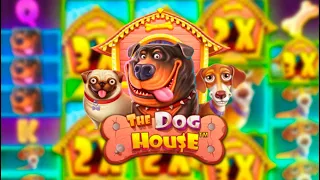 ЭТО МОЙ САМЫЙ РЕКОРДНЫЙ ЗАНОС В DOG HOUSE MEGAWAYS (ЖЕСТЬ)🔥