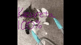 Kuzureta 100% (170Hz)