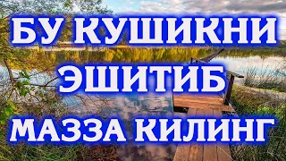 БУ КУШИКНИ ЭШИТИБ МАЗЗА КИЛИНГ | КУРБОН ХАМДАМОВ