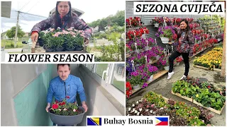 Sezona je cvijeća, hajde da kupimo cvijeće | It's flower season, Let's buy some flowers