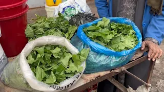 Gaza residents resort to eating mallow amid food shortages