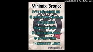 Minimix Bronco 1 (Burromix)