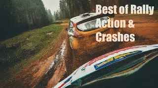 Maximum Effort Maximum Attack | New Best of Rally 2024 | Best Action Saves And Crash | Pure Sound