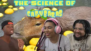 Why Are Capybaras So Chill? | Casual Geographic REACTION ft. Chavezz