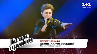 Денис Калитовский — "Watermelon sugar" — четвертьфинал — Голос страны 11