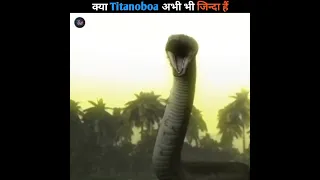 विशालकाय Titanoboa अभी भी जिन्दा हैं #shorts #titanoboa