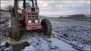 How to break the ice in a badass way with IH 745xl.#international #tractor#farming #745 #case