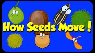 Seed Song - How Seeds Move - Seed Dispersal