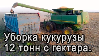 Уборка кукурузы! Урожайность 120ц. JOHN DEERE 9770 STS.