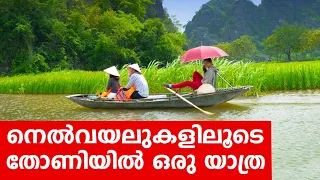 Sancharam | By Santhosh George Kulangara | Vietnam 15 | Safari TV