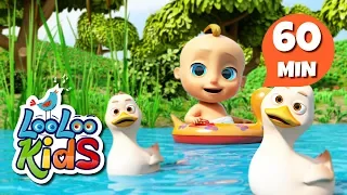 Five Little Ducks - Learn English with Songs for Children | LooLoo Kids