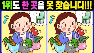 【다른그림찾기/치매예방】1위도 한 곳을 못 찾습니다!【틀린그림찾기/두뇌운동/숨은그림찾기/Find the Difference/치매예방퀴즈】1028