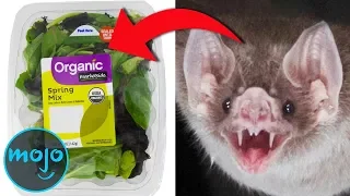 Top 10 Most Horrifying Food Recalls You Need to Know About