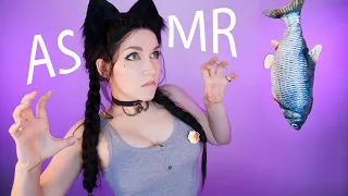 ASMR CAT TRIGGERS 🐾💖