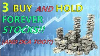 Top 3 BUY and HOLD Forever Stocks! ....and Even DCA??