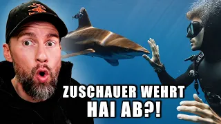 ZUSCHAUER WEHRT HAI AB?! Hai Attacken analysiert | Robert Marc Lehmann