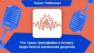 Что такое трипофобия и почему люди боятся маленьких дырочек | Подкаст Лайфхакера