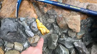 Epic gold and quartz nugget found metal detecting in NZ!