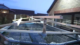 Keeping koi in a swimming pool through winter