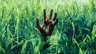 In The Tall Grass (2019) Explained in Hindi | Horror Mystery Movie Explained in Hindi