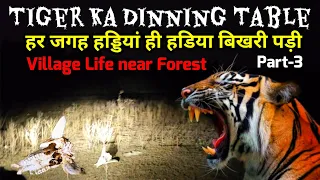 Dinning Table of Tiger | जगह जगह हड्डियां बिखरी पड़ी | Village Life near Forest #wildlife #tiger P-3