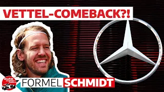 Auswirkungen auf den F1-Fahrermarkt nach Hamiltons Ferrari-Wechsel | Formel Schmidt 2024