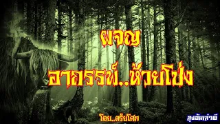 ผจญ..อาถรรพ์ห้วยโป่ง (พรานเมฆกับผู้ใหญ่ผุย) : ลุงอ้นเล่าผี