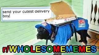 r/WholesomeMemes · the CUTEST delivery boy