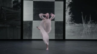 IN THE STEPS OF TRISHA BROWN Excerpt #2