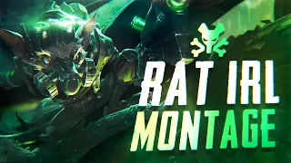 Best of RAT IRL Montage | Best Twitch World | League of Legends