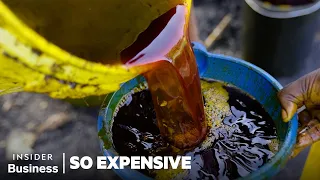Why Red Palm Oil Farmers Risk Their Lives For This Precious Cooking Oil | So Expensive