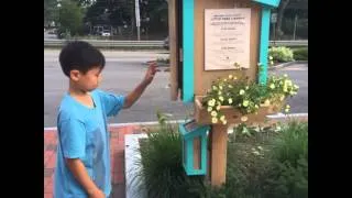 Little Free Library in Newton MA