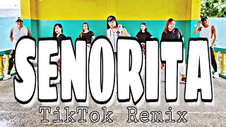 SEÑORITA ( Dj Arkie Remix ) - Dance Trends | Dance Fitness | Zumba
