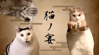 猫ノ宴【猫ミーム × 鬼ノ宴】