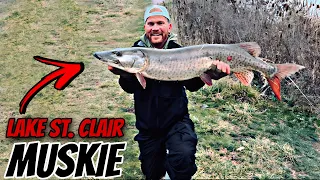 Lake St Clair Musky Fishing FROM SHORE | 3 FISH DAY!!!