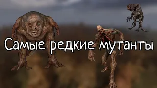 Самые редкие мутанты | S.T.A.L.K.E.R.