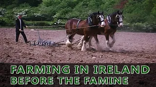 Farming in Ireland before the Potato Famine