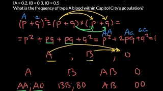 How to solve ABO blood group frequency problems