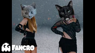 KAROL G, Shakira - TQG (Cover Gatos)