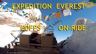 Expedition Everest 2016 POV On-Ride 60FPS Roller Coaster HD Animal Kingdom Walt Disney World GoPro