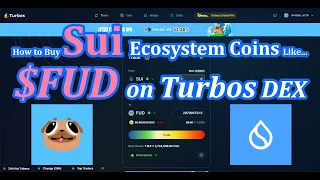 Sui Crypto Beginners Guide (How to Buy Sui Ecosystem Tokens Like $FUD and $HSUI via Turbos DEX)
