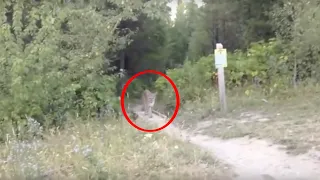 5 Scary & Unexpected Videos Recorded From The Woods…