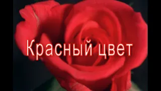 Красный цвет. Основы цветоведения